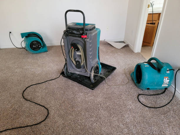 Best Water damage restoration near me  in Strawberry Point, IA