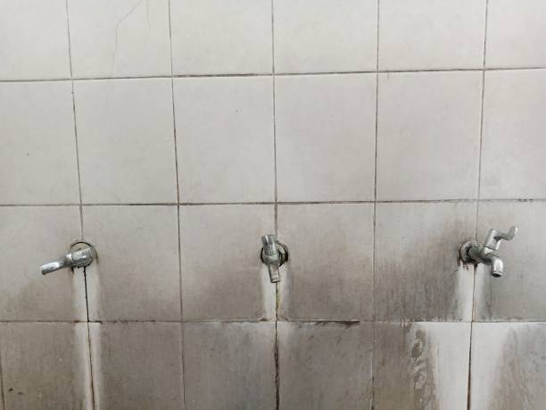 Best 24/7 water damage repair  in Strawberry Point, IA