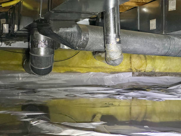 Best Local water damage restoration  in Strawberry Point, IA