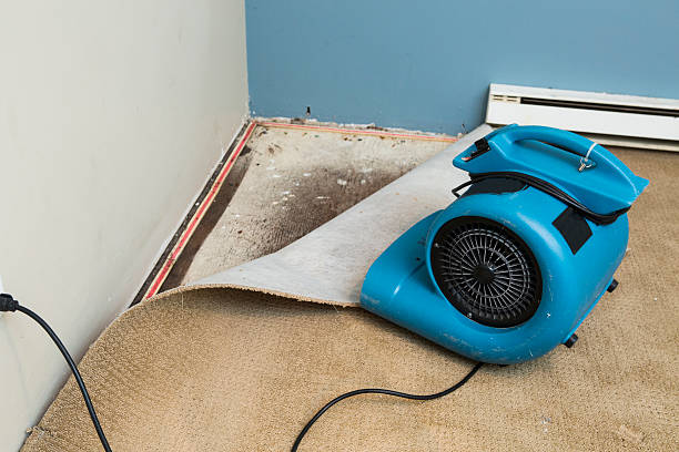 Sewage cleanup and water damage restoration in Strawberry Point, IA